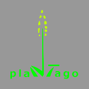 Logo plantago